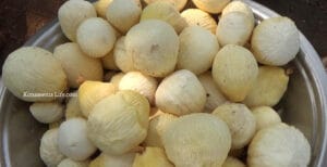 కొబ్బరికాయ లో పువ్వు 