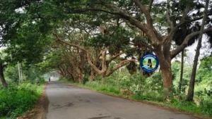 కోనసీమ ఫిల్మ్ షూటింగ్ లొకేషన్స్