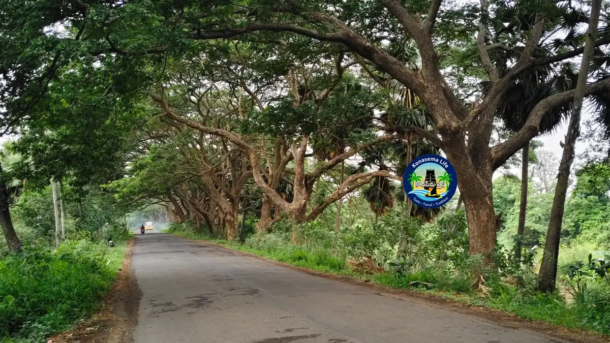కోనసీమ-ఫిల్మ్-షూటింగ్-లొకేషన్స్-Konaseema