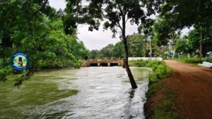 ఆత్రేయపురం లొల్ల లాకులు