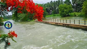 ఆత్రేయపురం లొల్ల లాకులు