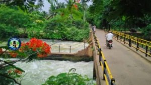 ఆత్రేయపురం లొల్ల లాకులు