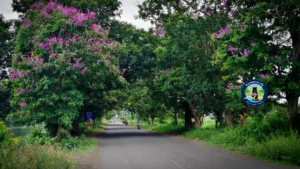 కోనసీమ ఫిల్మ్ షూటింగ్ లొకేషన్స్ కోనసీమ ఫిల్మ్ షూటింగ్ లొకేషన్స్
