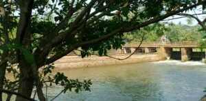 ఫిలిం షూటింగ్ స్పాట్ కోనసీమ 