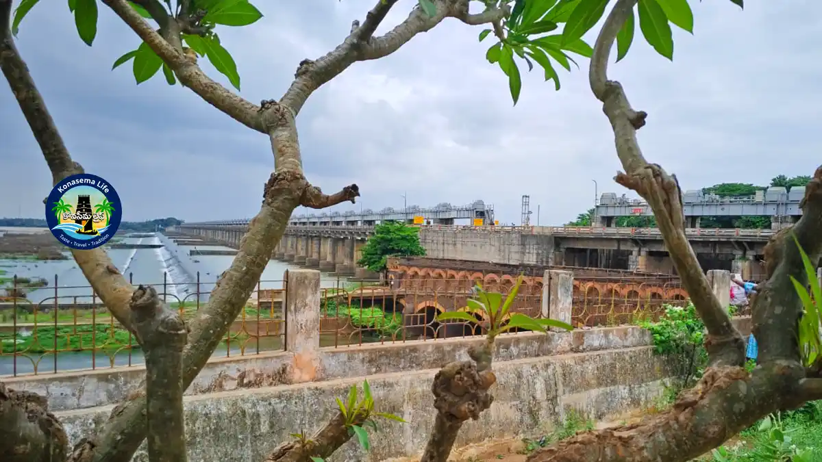 దవళేశ్వరం బ్యారేజ్