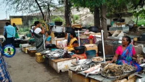 Fish Market at Dawaleswaram