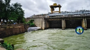 Godavari river fishint at Daweleswram