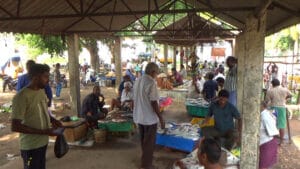 kesanapalli fish market