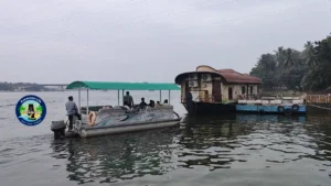 Dindi resorts -House Boat - ap tourism 