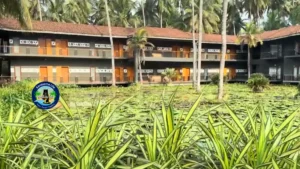 RVR dindi -Konaseema 