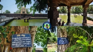 ద్రాక్షారామం ఆలయం పరిసరాల్లోని తటాకం, ఉసిరి చెట్టు మరియు రావి చెట్టు